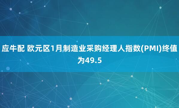 应牛配 欧元区1月制造业采购经理人指数(PMI)终值为49.5